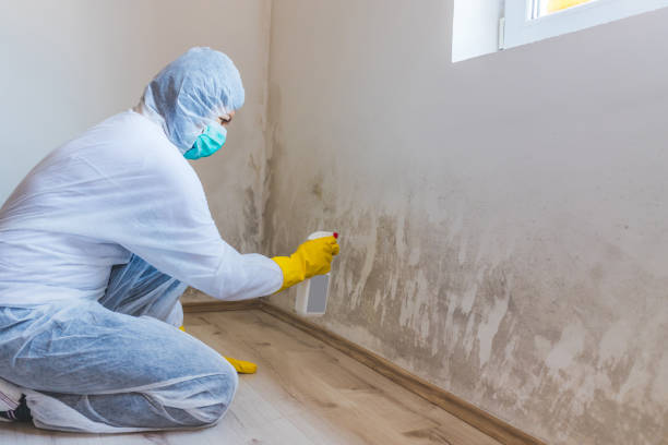 Crawl Space Mold Remediation treatment of floor joists in Elgin